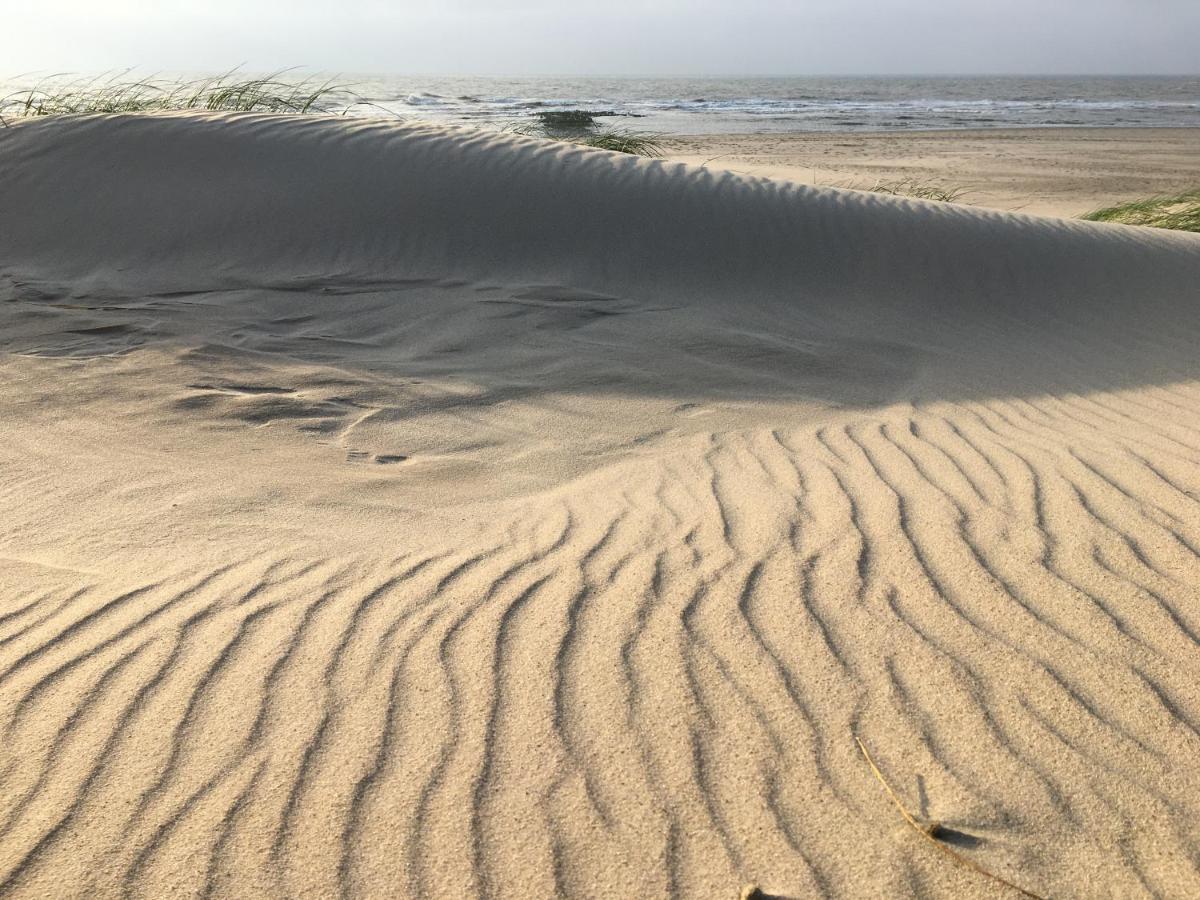 Fijne Studio Aan Zee Callantsoog Zewnętrze zdjęcie