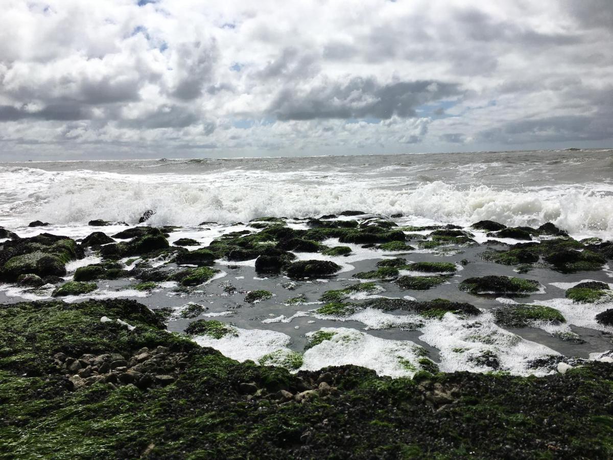 Fijne Studio Aan Zee Callantsoog Zewnętrze zdjęcie